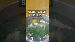 HOW TO COOK WATERCRESS SOUP WITH CHICKEN CHINESERECIPE [upl. by Anavlis]