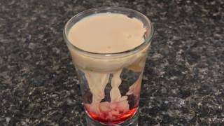 Brain Hemorrhage Shot  Cocktail Tutorial [upl. by Areehs184]