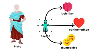 A Brief History of Psychology From Plato to Pavlov [upl. by Eberly]