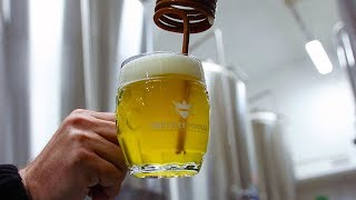 Uneticky Pivovar world class openfermented lagers  The Craft Beer Channel [upl. by Mastic]