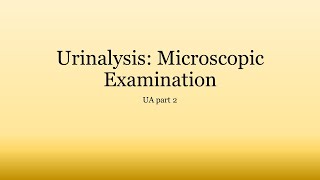 Urinalysis Basics Microscopic Examination of Urine [upl. by Yendirb]