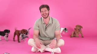 Andrew Garfield The Puppy Interview [upl. by Annig328]