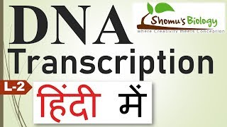 DNA transcription in Hindi [upl. by Dollar]