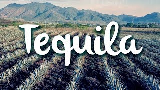 Tequila Jalisco qué hacer en el pueblo mágico [upl. by Atonsah]