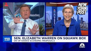 WATCH CNBC host slams Elizabeth Warren on price gouging ban [upl. by Annodam329]