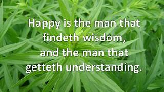 Proverbs 31318 Happy is the man that findeth wisdom KJV singalong wlyrics key of F [upl. by Eilis890]