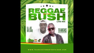 Dj Joe Mfalme  Reggae In The Bush Live Mixx Dj Joe Mfalme amp MC Teargas [upl. by Ahtram443]