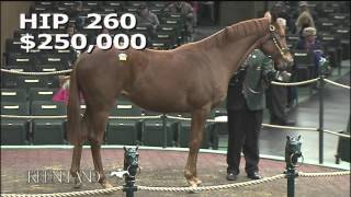 2016 January Sale  Hip 260 Summer Sweet [upl. by Tadeo]