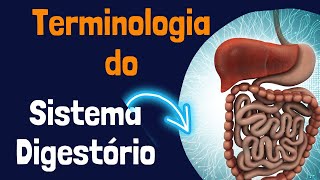 Terminologia do Sistema Digestivo [upl. by Kilby]