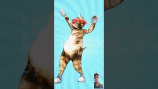 Cat puppy dance dogdance catlover doggydance pets cutecat funny cute catdance [upl. by Ledda]