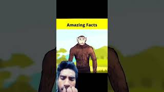 Top 3 Real story amazingfacts factbeast factsinhindi amazing mrfactstory mrfactor 500subs [upl. by Lledrac]