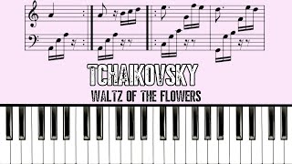 Tchaikovsky  Waltz of the Flowers Piano Version [upl. by Hess]