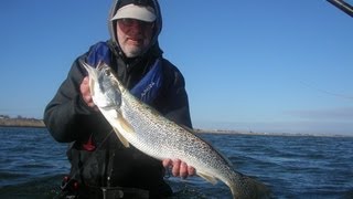 Weakfish  Fishing bucktails [upl. by Braunstein]