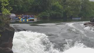 Dandeli River rafting Kali River [upl. by Nyrrat]