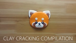 red panda clay cracking compilation 레서판다 점토 부수기 위주로 편집 [upl. by Yroger763]