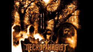 Necrophagist  The Stillborn One HQ [upl. by Oag]