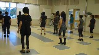 Fancy 2 Step  line dance walk through amp dance [upl. by Moses]