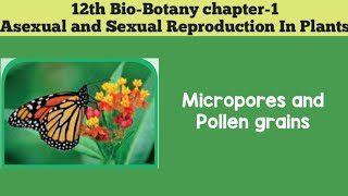 12th biobotany chapter1 Asexual And Sexual Reproduction In Plants MICROSPORES AND POLLEN GRAINS [upl. by Ellennahc]