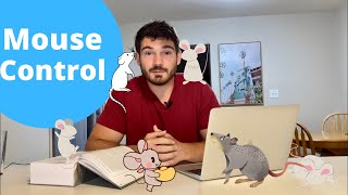 How To Get Rid of Mice  EVERYTHING You NEED to Know [upl. by Ahsytal]