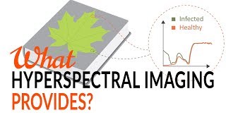 What Hyperspectral Imaging provides  Tutorial [upl. by Bolanger561]