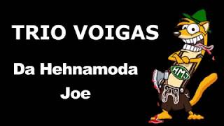 TRIO VOIGAS  Da Hehnamoda Joe Official HD Video [upl. by Bary564]