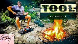 Tool Stinkfist Acoustic Cover [upl. by Cliff]