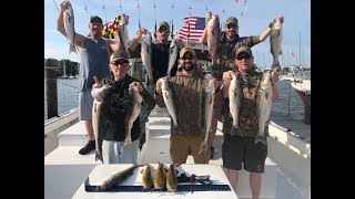 Catching Rockfish in Maryland [upl. by Aysan]