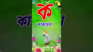 Banjonborno  a ajogor aschhe tere  বাংলা ব্যঞ্জনবর্ণ  kkhggha  ক এ কাকাতুয়া shorts [upl. by Yreneh426]