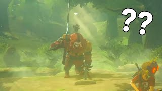 Getting a Yiga to Pull the Master Sword  Zelda Breath of the Wild [upl. by Nuawd]