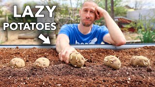 the lazy way to grow tons of potatoes [upl. by Zandt]