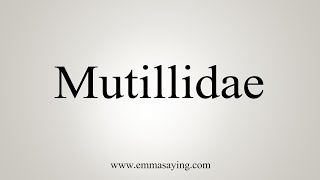 How To Say Mutillidae [upl. by Saidnac]