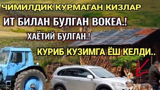 ЧИМИЛДИҚ КУРМАГАН ҚИЗЛАР ИТ БИЛАН БУЛГАН ВОҚЕА ХАММА КУРСИНERTAKCI BOBO [upl. by Bez]