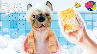 🛁 🫧 BAÑO a mi PERRITO después del VETERINARIO 🐶 ¿PERRO BUENO o PERRO MALO [upl. by Niatirb]