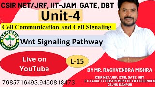 Wnt Signaling Pathway  Wntβcatenin pathway  Cell Communication amp Cell Signaling L 14 Unit4 [upl. by Hultin]