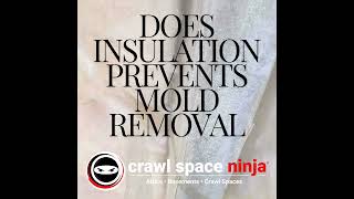 Why Ignoring Insulation Removal Hampers Effective Mold Treatment Insights from Crawl Space Ninja [upl. by Theran]