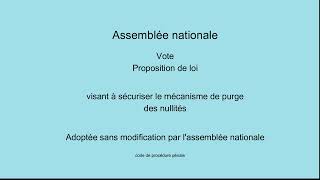 Assemblée nationale propositions de loi adoptées 2024 semaine 47 [upl. by Coad130]