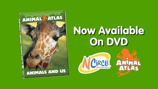 Animal Atlas Animals and Us DVD Bumper Advert For EddieKyteABCDEFG12345678910 [upl. by Assen]