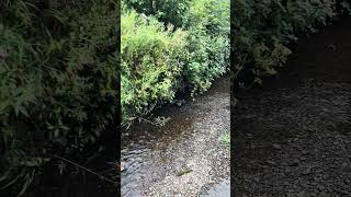 Packhorse haunted bridge hikeandexplore northwales haunted nature [upl. by Nealon353]