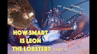 How Smart Is Leon The Lobster Part 2 [upl. by Udelle]