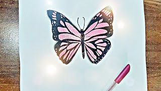 HOW TO DRAW BUTTERFLY EASY [upl. by Ynots]