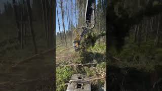 abitibi logging quebec forestry logginglife foryou foresterie🌲 johndeere ponsse ponsseh7 [upl. by Ivad]