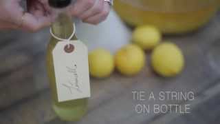 How to make Limoncello [upl. by Nailil804]