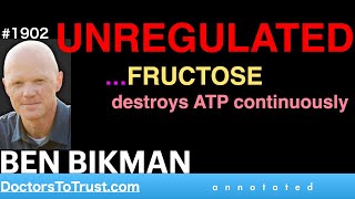 BEN BIKMAN u3  UNREGULATED…FRUCTOSE destroys ATP continuously [upl. by Cammie822]