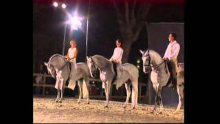 spectacle equestre pignondelgado [upl. by Atsocal]