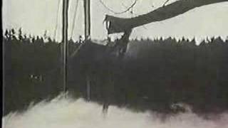 Tacoma Narrows Bridge Disaster [upl. by Nimajaneb]