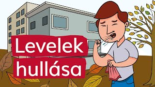 Móra Ferenc Levelek hullása [upl. by Anselmi]