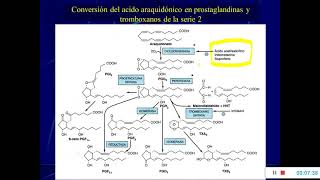 Lípidos Prostaglandinas Trigliceridos y colesterol [upl. by Weinhardt723]