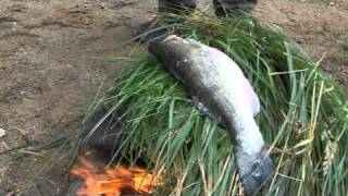 Finnish fish delicacies on an open fire [upl. by Liv720]