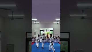 Phân đoạn Unsu Bunkai đỉnh của đỉnh defence vothuat karate bunkai unsu kungfu [upl. by Leamiba]