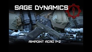 Aimpoint Acro P2 [upl. by Anerak]